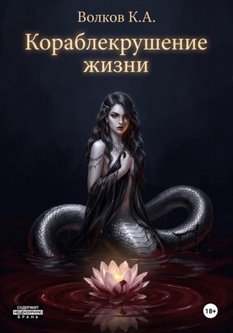 Кирилл Волков. Кораблекрушение жизни