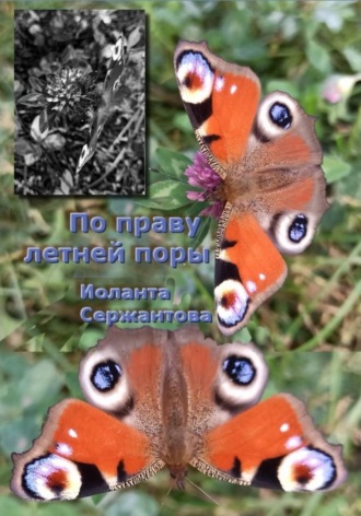 Иоланта Сержантова. По праву летней поры