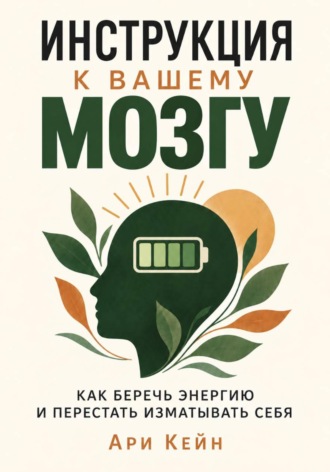 Ари Кейн. Инструкция к вашему мозгу. Как беречь энергию и перестать изматывать себя