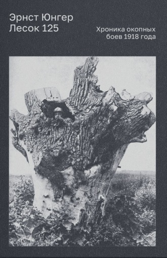 Эрнст Юнгер. Лесок 125. Хроника окопных боев 1918