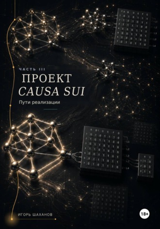 Игорь Шаханов. Проект Causa Sui - пути реализации Часть III