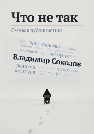 Владимир Соколов. Что не так