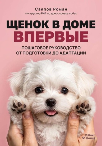 . Щенок в доме впервые: пошаговое руководство от подготовки до адаптации
