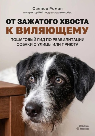 . «От зажатого хвоста к виляющему: пошаговый гид по реабилитации собаки с улицы или приюта