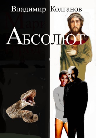 Владимир Колганов. Абсолют