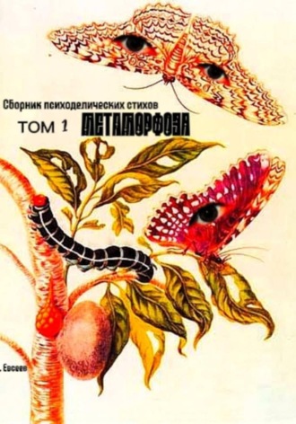 Савелий Евсеев. Метаморфоза. Сборник стихов