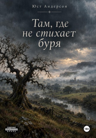 Юст Андерсон. Там, где не стихает буря