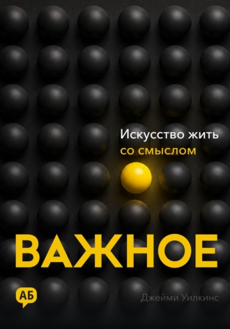 Джейми Уилкинс. Важное. Искусство жить со смыслом