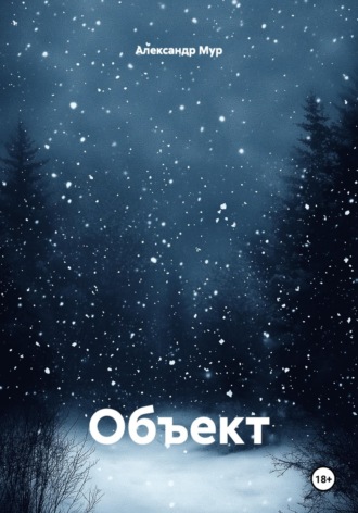Александр Мур. Объект