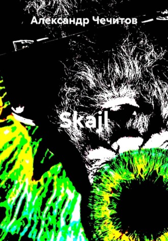 Александр Чечитов. SKAJL