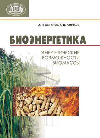 . Биоэнергетика. Энергетические возможности биомассы