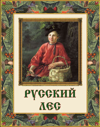 . Русский лес. Грибы и ягоды