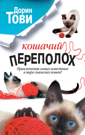 . Кошачий переполох (сборник)