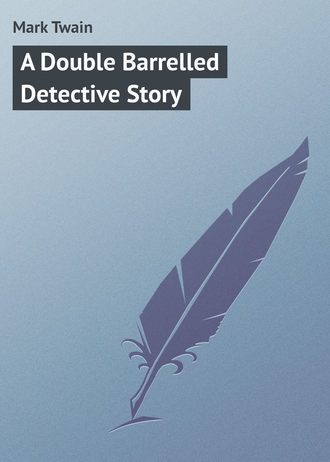 . A Double Barrelled Detective Story