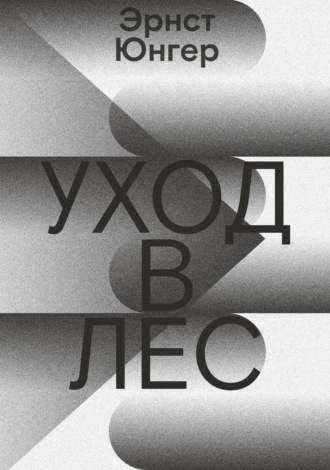 . Уход в лес