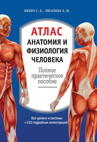 . Атлас: анатомия и физиология человека. Полное практическое пособие