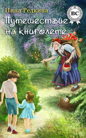 . Путешествие на книголете