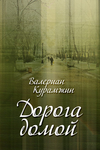 . Дорога домой (сборник)