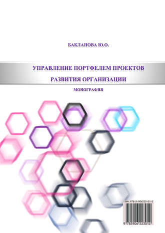 . Управление портфелем проектов развития организации