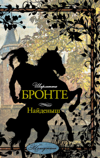 . Найденыш