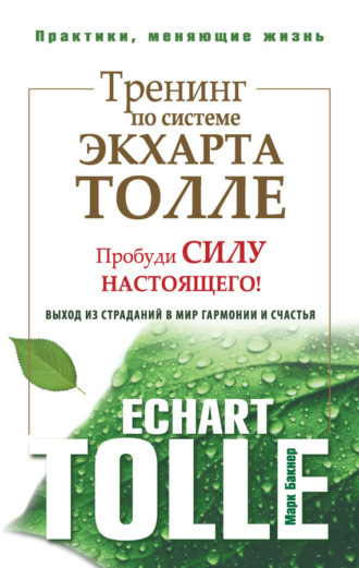 . Тренинг по системе Экхарта Толле. Пробуди силу настоящего! Выход из страданий в мир гармонии и счастья