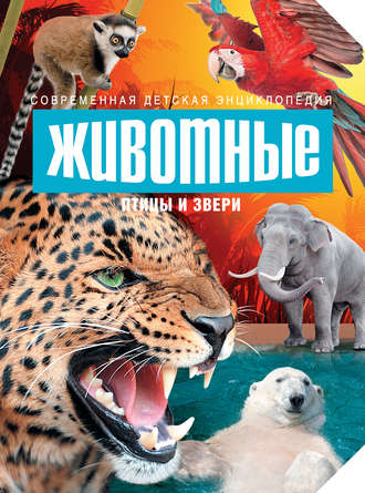 . Животные. Птицы и звери