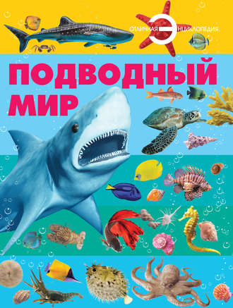 . Подводный мир