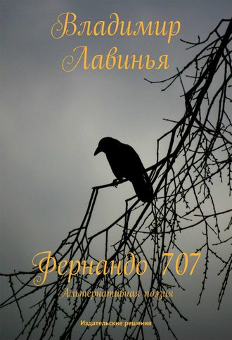 Владимир Лавинья. Фернандо 707