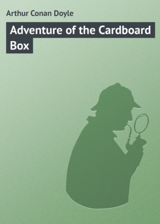 . Adventure of the Cardboard Box