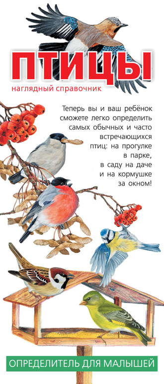 . Птицы. Наглядный справочник. Определитель для малышей