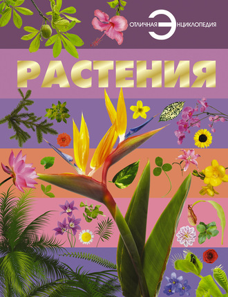 . Растения