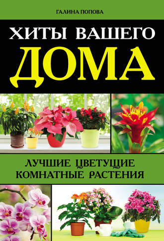 Галина Попова. Хиты вашего дома. Лучшие цветущие комнатные растения