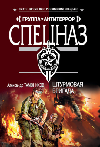 . Штурмовая бригада