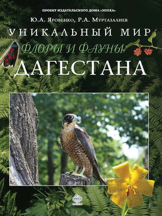 . Уникальный мир флоры и фауны Дагестана
