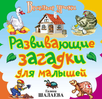 . Развивающие загадки для малышей