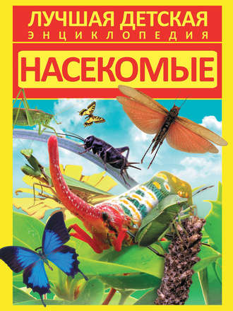 Д. В. Кошевар. Насекомые