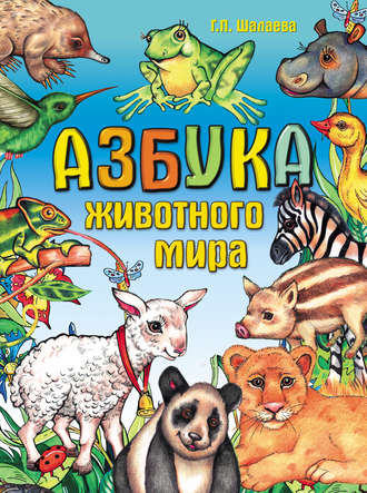 . Азбука животного мира