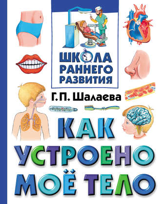 . Как устроено мое тело