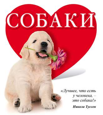 Евгения Гюнтер. Собаки