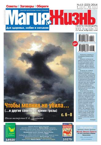 . Магия и жизнь. Газета сибирской целительницы Натальи Степановой №12/2014