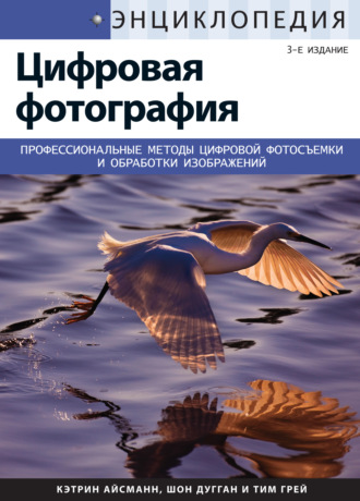 . Энциклопедия цифровой фотографии