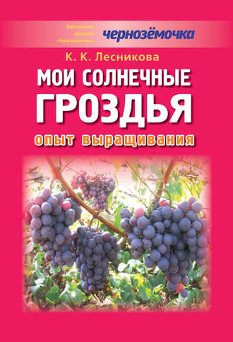 . Мои солнечные гроздья. Опыт выращивания
