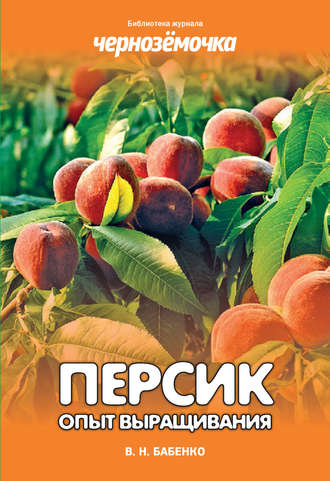 . Персик. Опыт выращивания