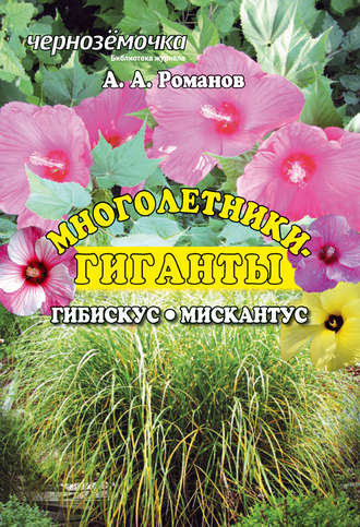 . Многолентики-гиганты: Гибискус. Мискантус