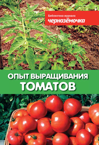 . Опыт выращивания томатов