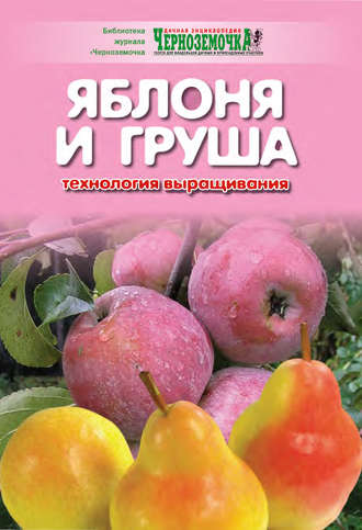 . Яблоня и груша. Технология выращивания