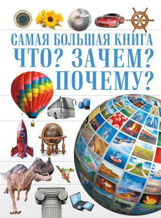 . Что? Зачем? Почему?