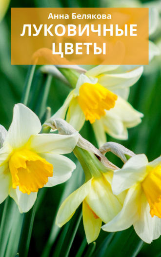 . Луковичные цветы