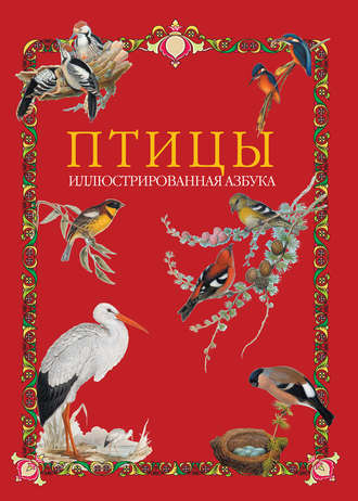. Птицы. Иллюстрированная азбука