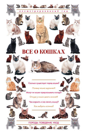 . Все о кошках. Иллюстрированный гид